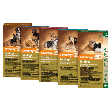 Advantage Multi® for Dogs