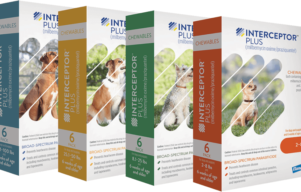 Interceptor® Plus for Dogs