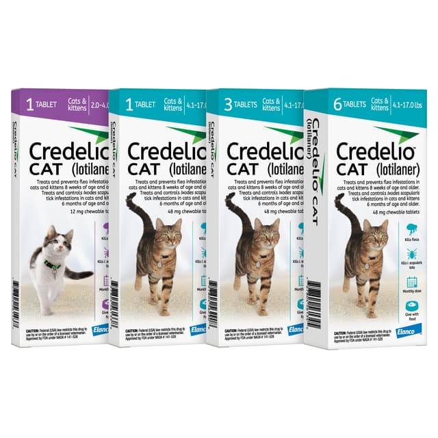 Credelio® CAT