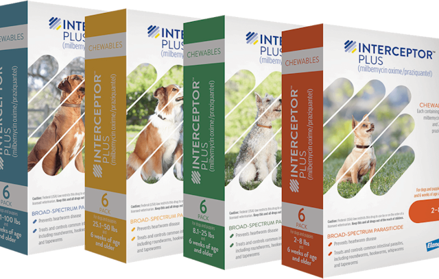 Interceptor® Plus for Dogs